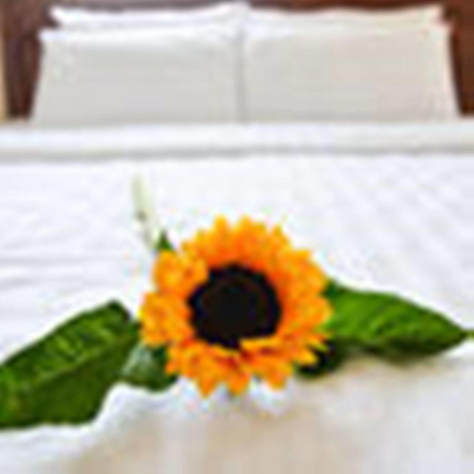 Fulmar Hotel Ντα Νανγκ Εξωτερικό φωτογραφία
